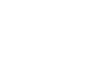 Italian Art Ventures Private Tours