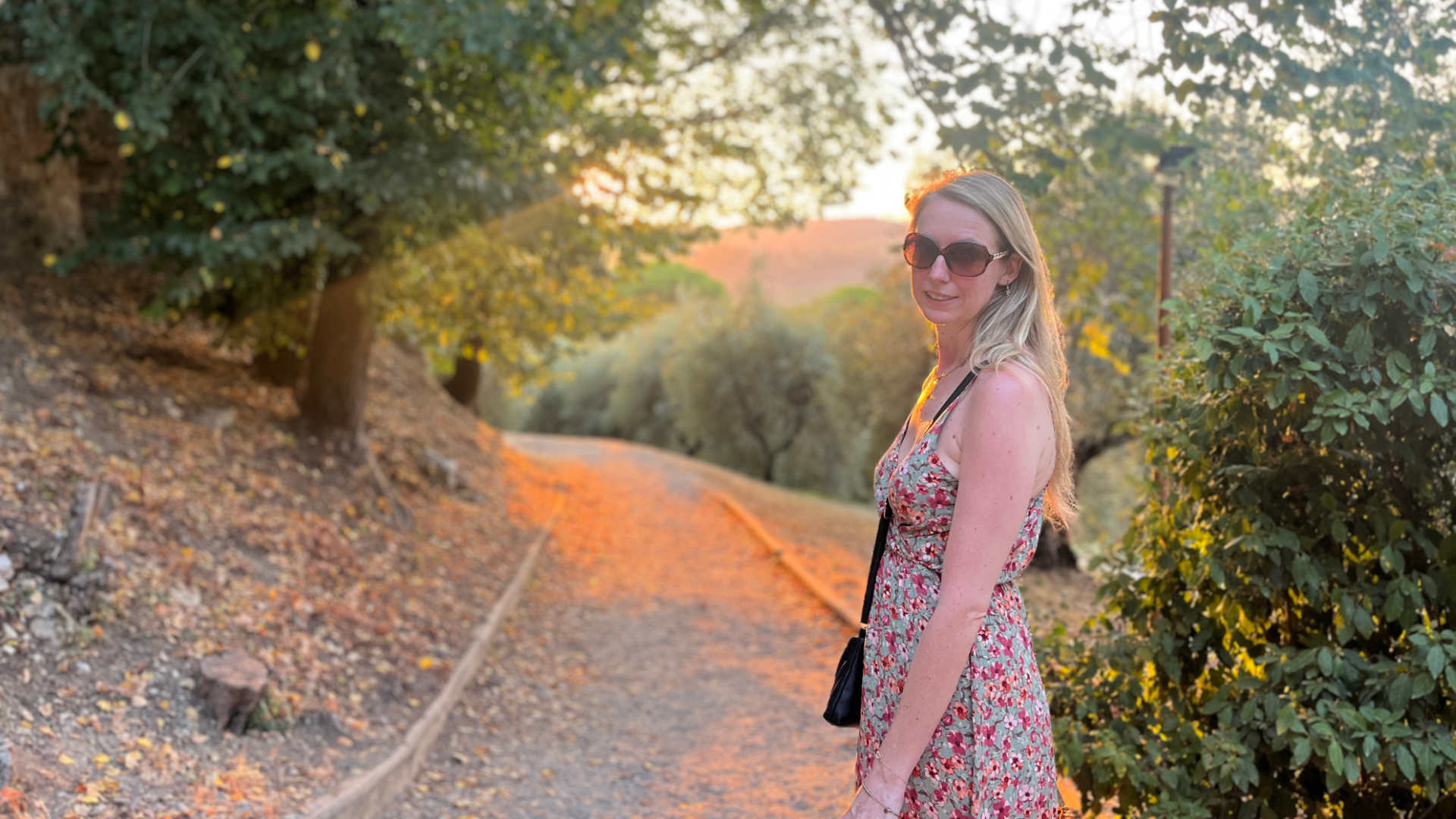Tours in Florence and Tuscany san gimignano and siena tour