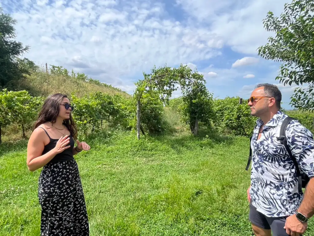 A Perfect One-Hour Walk Through San Gimignano: A San Gimignano Travel Guide Tuscan Wine Tour